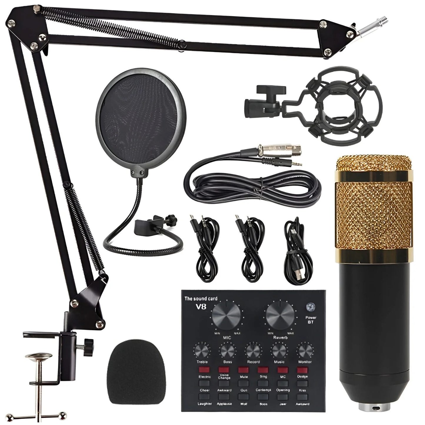 BM-800 Condenser Microphone